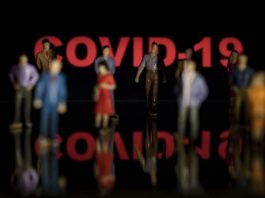 Coronavirus Covid 19 activité TP