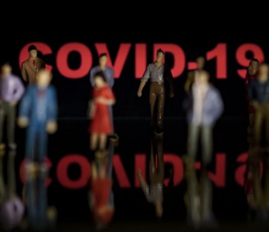 Coronavirus Covid 19 activité TP