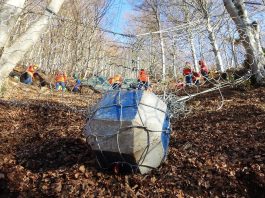 Écrans pare-blocs forestiers